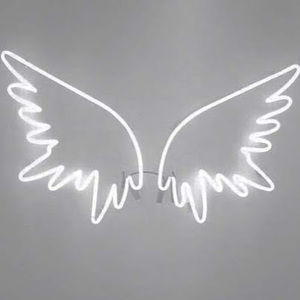 Meet your Posher, Greta